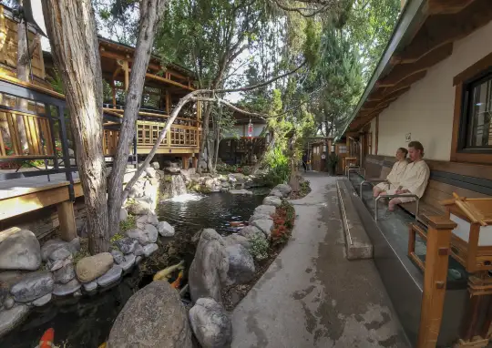 Koi pond and footbath