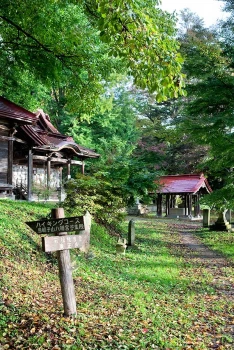 Cottages on a hillside